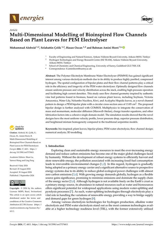 First page of the Energies article on bioinspired flow channels based on plant leaves
